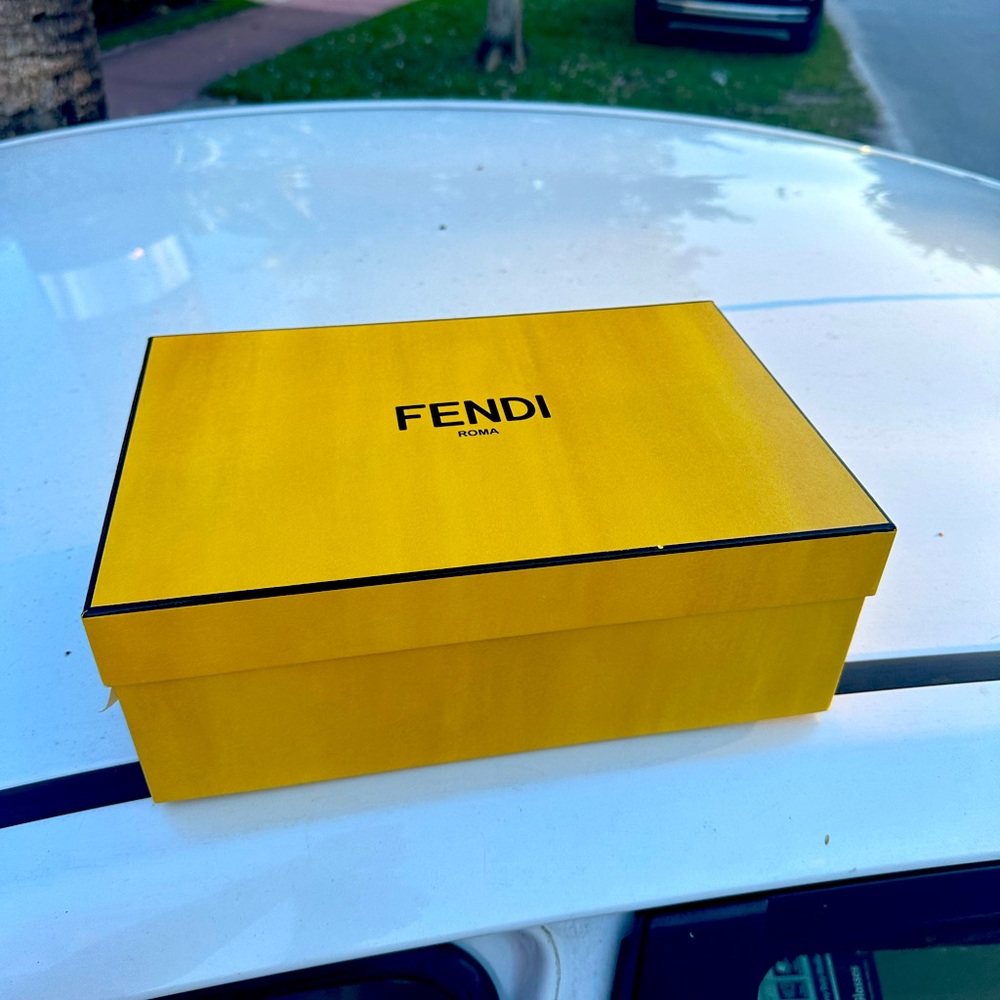 FENDI box And Dust Bag For Shoes $35